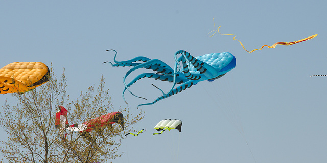 Great Lakes Kite Festival