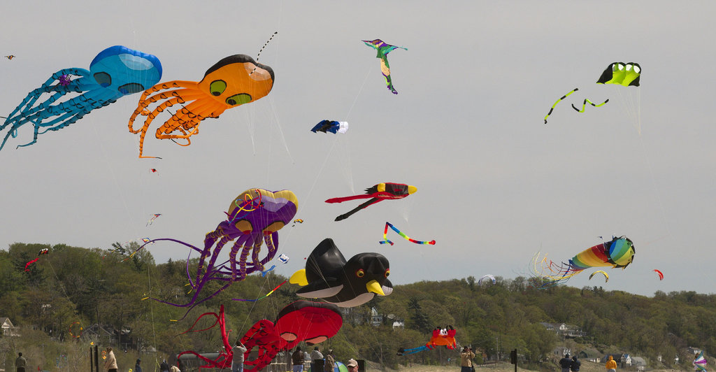 Great Lakes Kite Festival