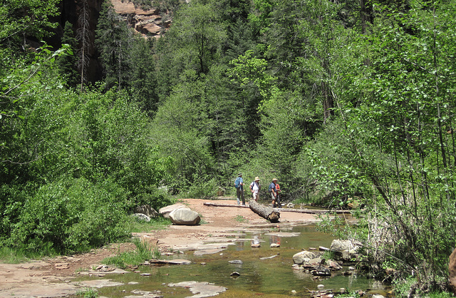 0502 123604 West Fork Oak Creek