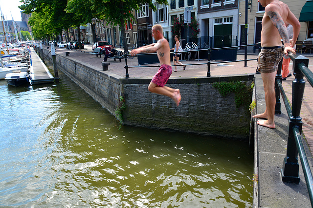 Swimming in the harbour of Dort