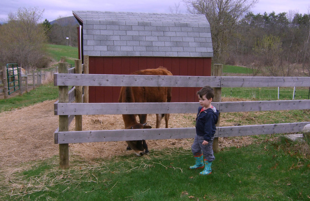 Little Vermont Boy