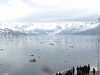 Views of Alaska-05