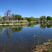 Lagoon at Dead Horse Ranch State Park