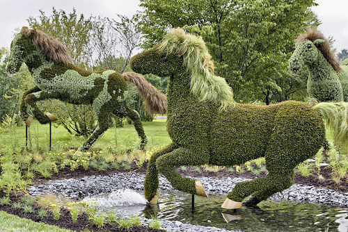 Mother Earth #2 – Mosaïcultures Internationales de Montréal, Botanical Garden, Montréal, Québec