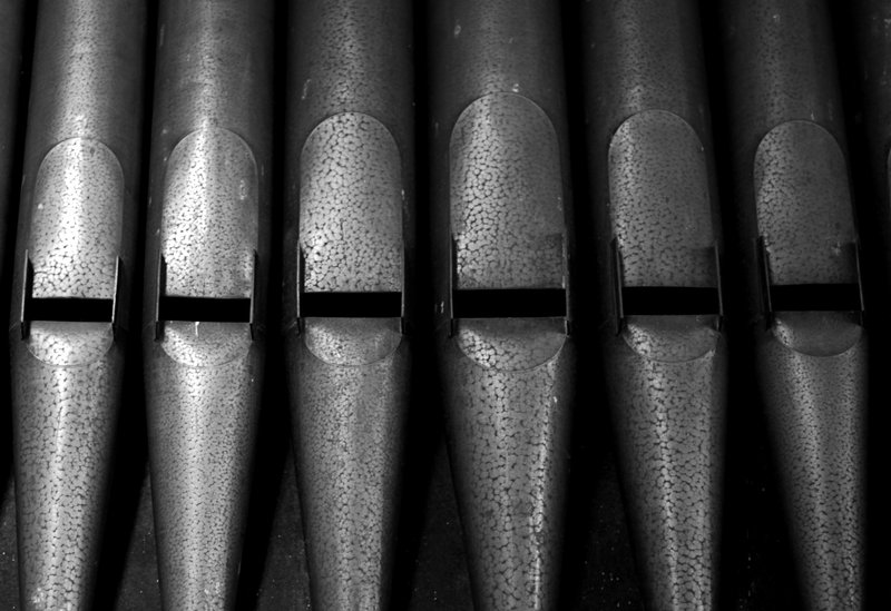 Organ Pipes