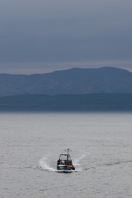 Coming home from the sea