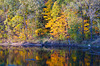 Grand River Reflection