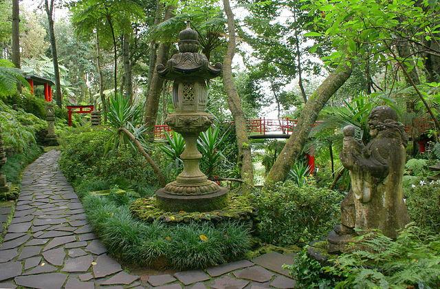 Madeira. Monte. In den tropischen asiatischen Gärten. ©UdoSm