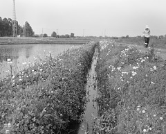 Channel along the footpath