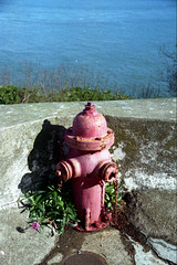 Fire Hydrant