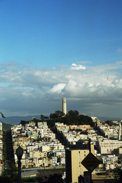 San Franciso Rooftops