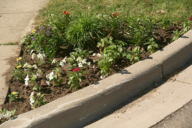 The Corner Garden