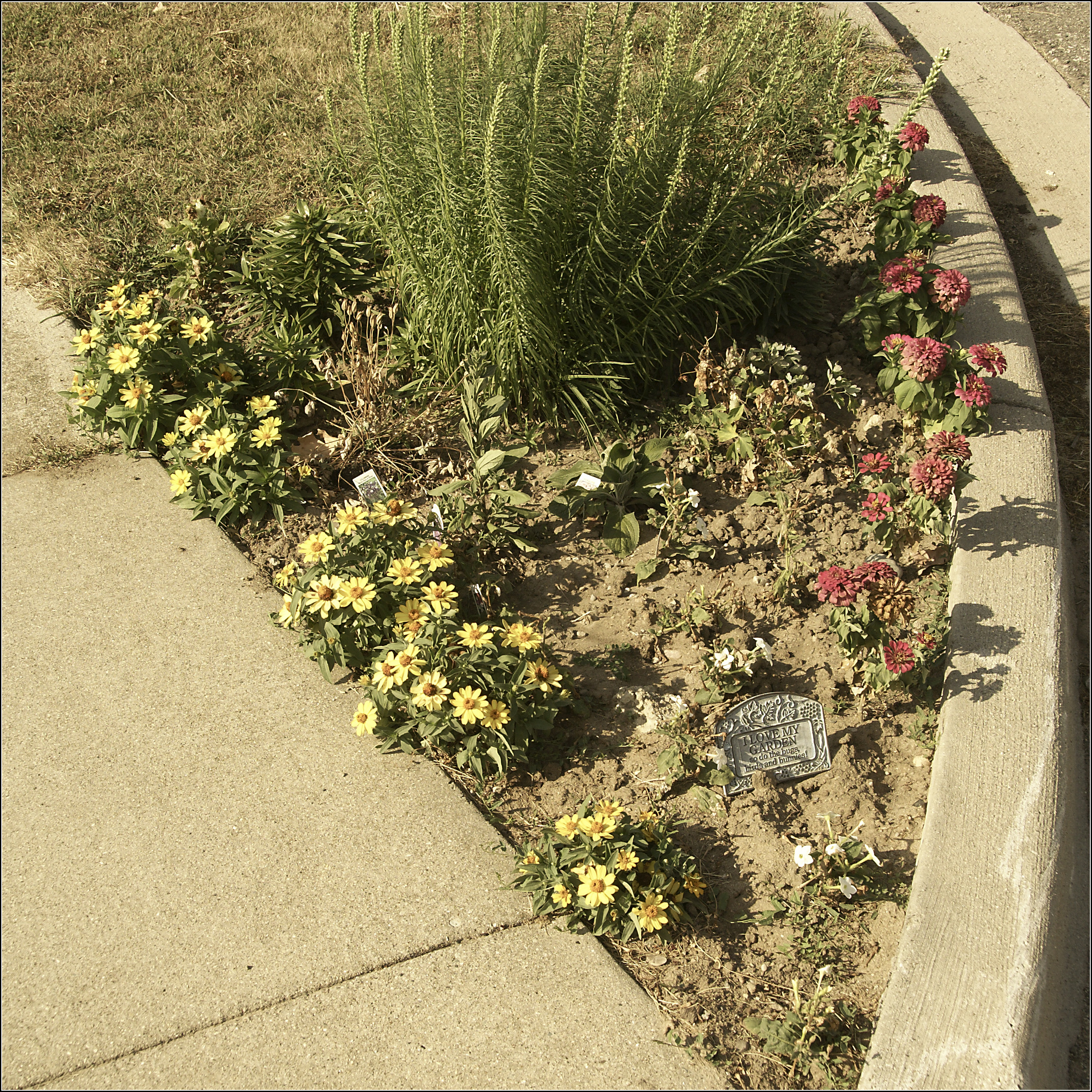 The Street Corner Garden