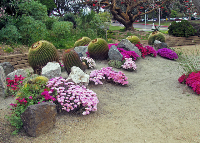 Balboa Park Succulent Garden