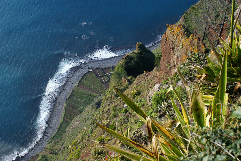 Cabo Girao. Blick nach unten.  ©UdoSm