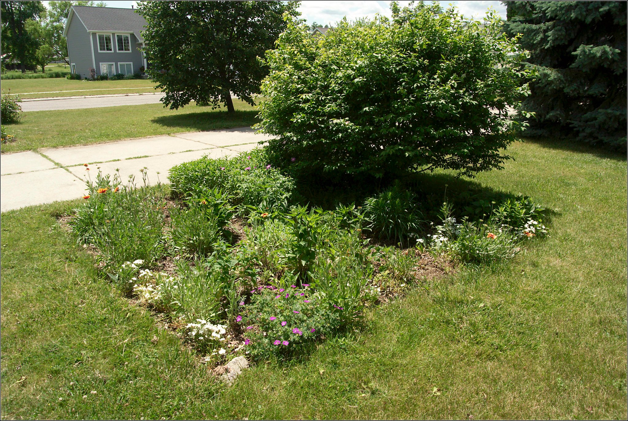 The Front Garden