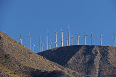 Windmill Farm