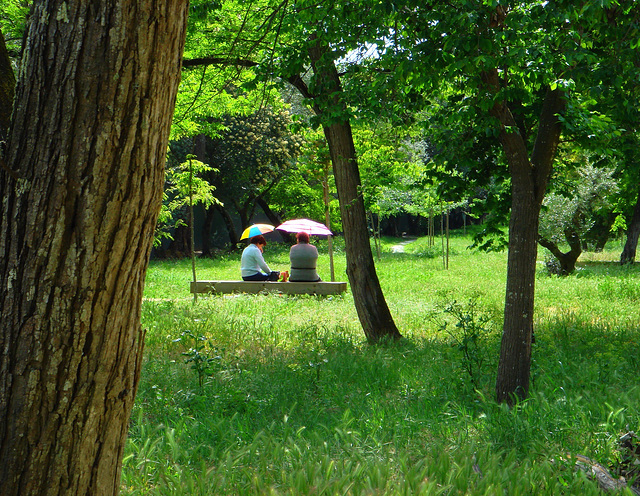 Sitting and enjoying the best of what nature can bring