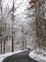 Wintery day in Alabama