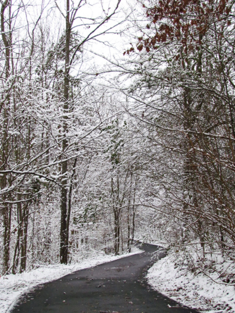 Wintery day in Alabama