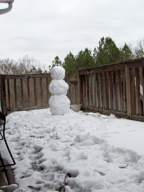 Alien on my deck, Etowah County, Alabama