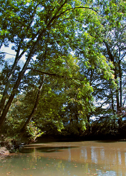 Big Wills Creek