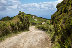 the_hollow_way the_hollow_way