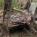 Flood Debris on Big Wills Creek