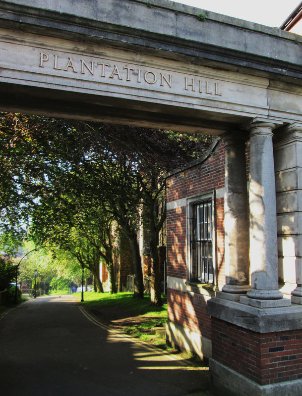 Plantation Hill.