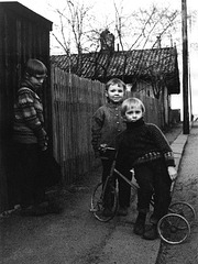 Barn i Fjellgata på Rodeløkka 1968.