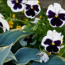 May 31, 2014 - No. 151 - One photo a day, +15 C May 31, 2014 - No. 151 - One photo a day, +15 C