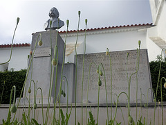 Júlio César Machado (1835-1890)