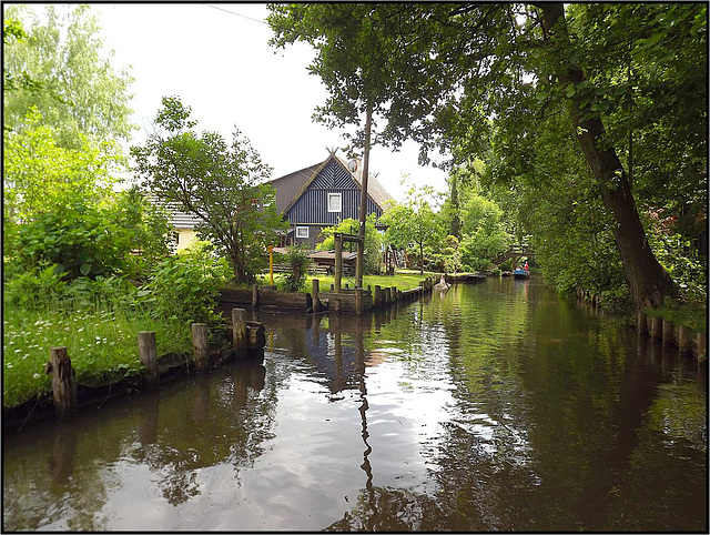 Spreewald 115