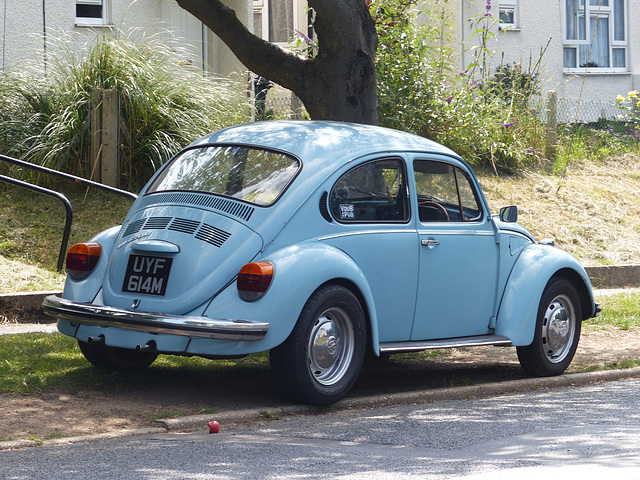 Beautiful Blue Bedhampton Beetle -19 June 2014