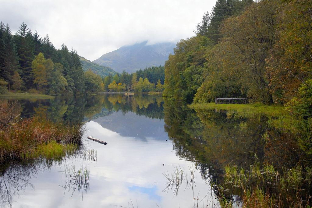 Autumn Reflections