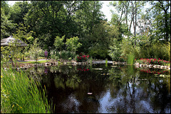 Jardin chinois