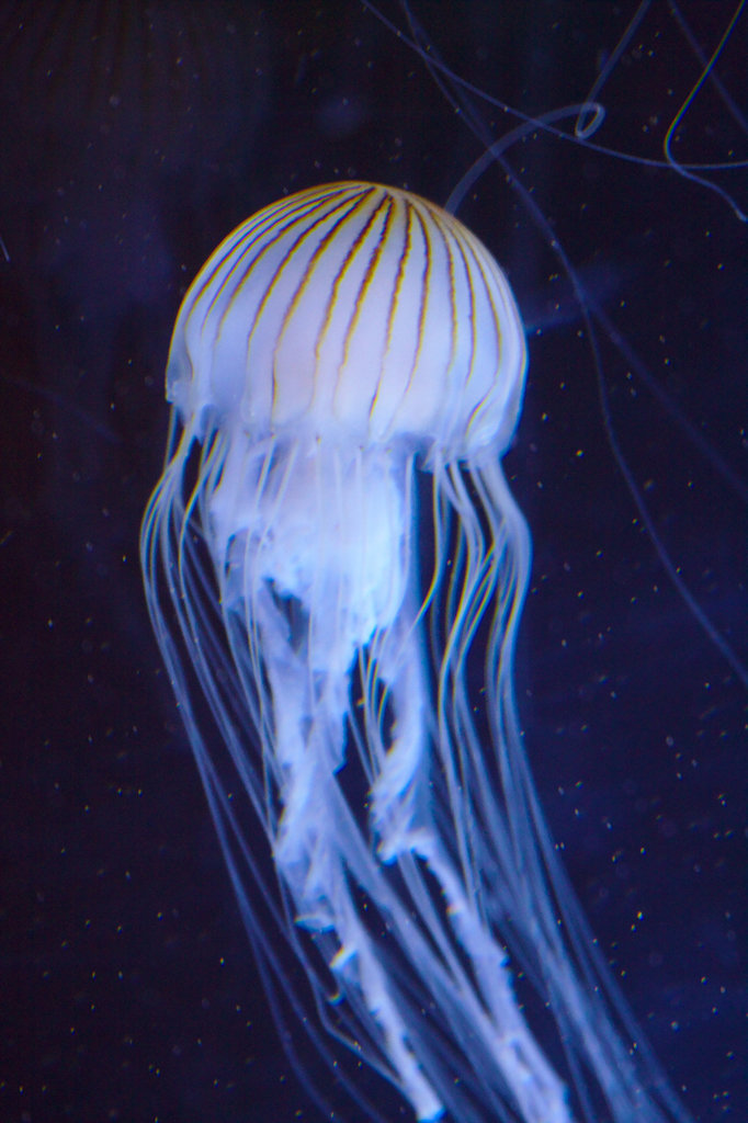 img 0008