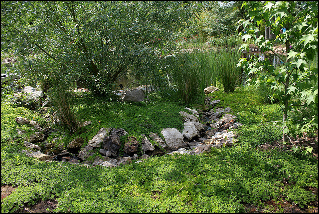 Jardin chinois  (4)
