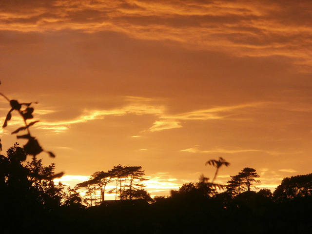 Taken from my landing window