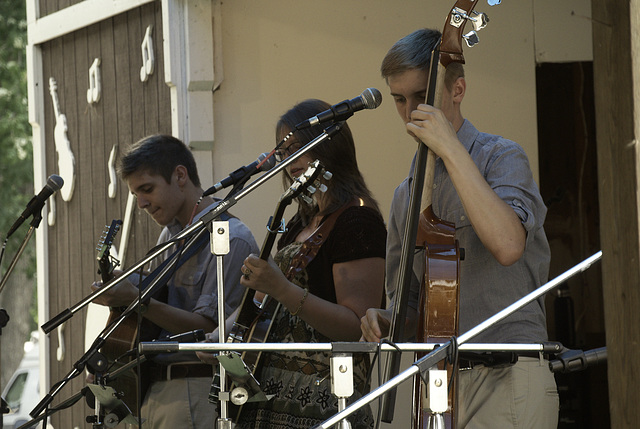 Cats & the Fiddler