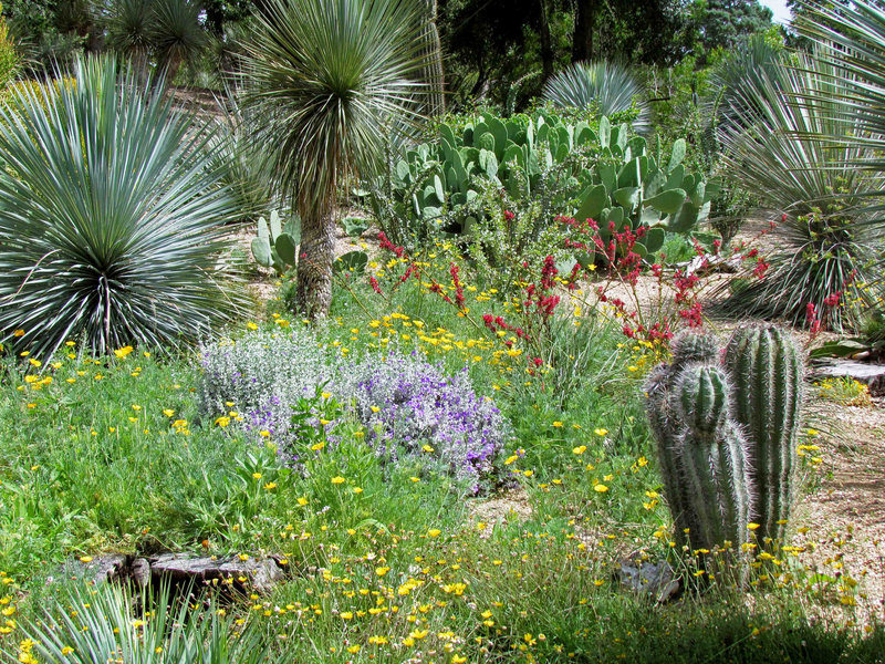 San Antonio Botanical Garden