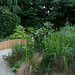 Dissection  d'un jardin d'Eden  (2)