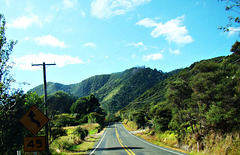 Hicks Bay Country