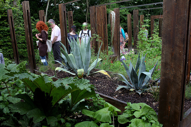 Le jardin des pécheressesGunnera et agaves