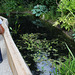 Dissection  d'un jardin d'Eden  (8)