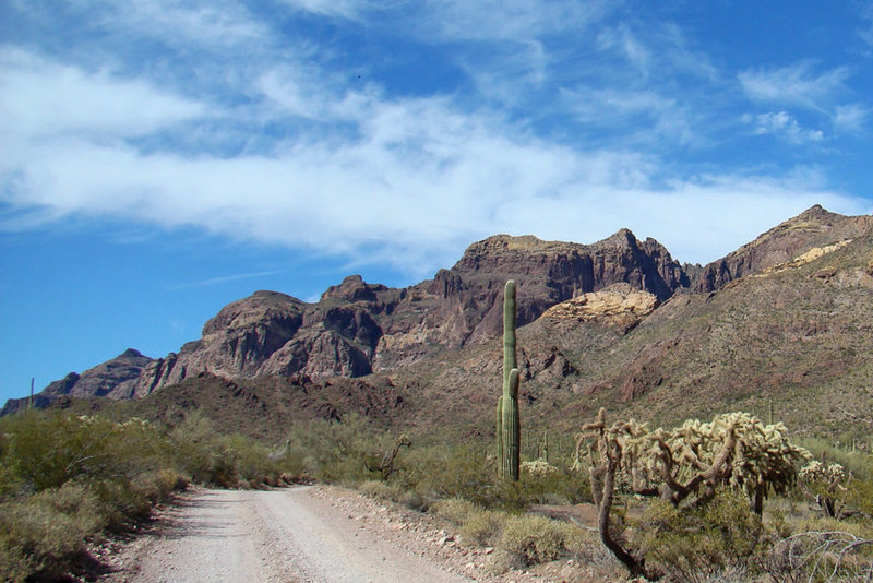 Desert Road