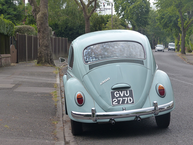 A Beetle in Gosport (1) - 14 June 2014