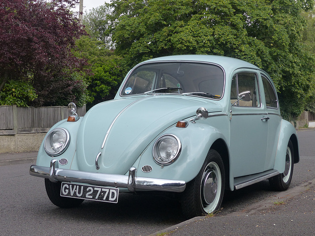 A Beetle in Gosport (3) - 14 June 2014