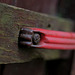 The Red Handle - Optomax 35/2.8