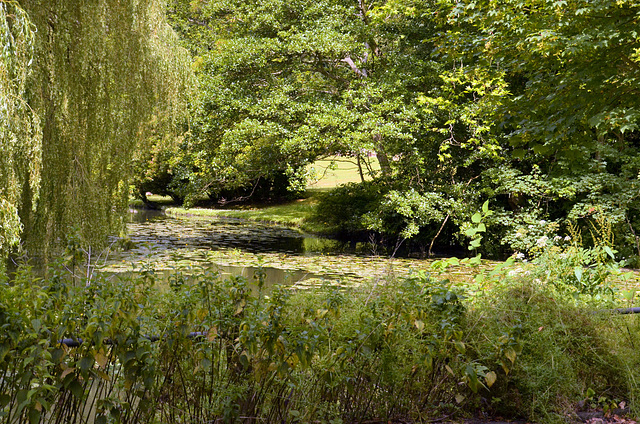 Waverley Mill pond